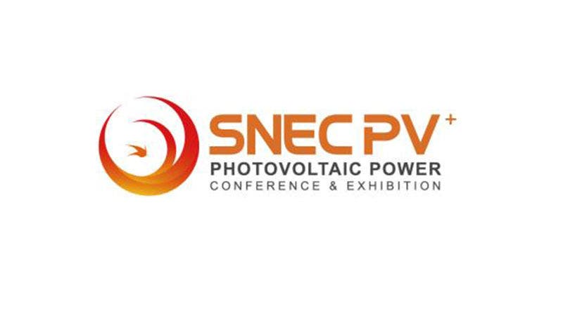 SNEC logo